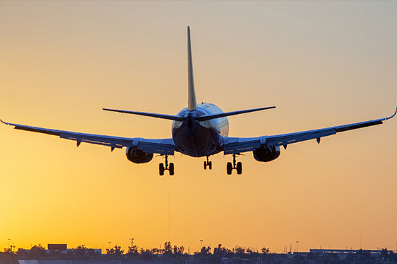 空運、海運、專線